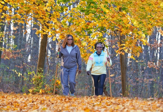 Two people walking, hiking staffs in hands, through fallen orange leaves.