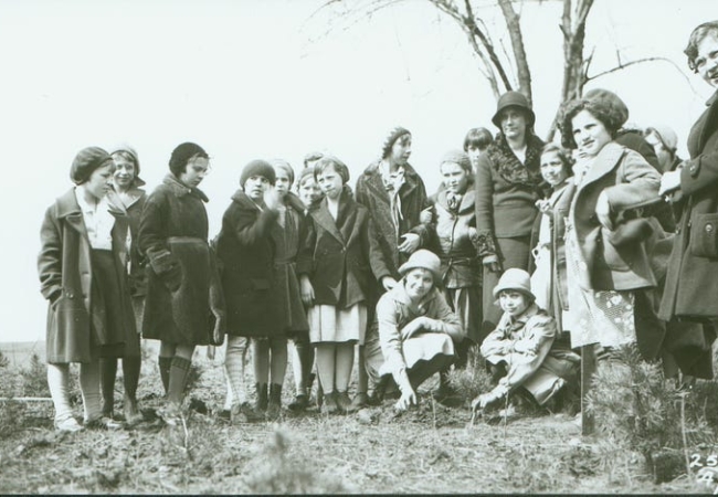 A black and white photo of a group of women and girls around newly planted trees.