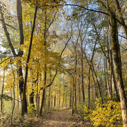 Deep Lock Quarry Trail in the fall.