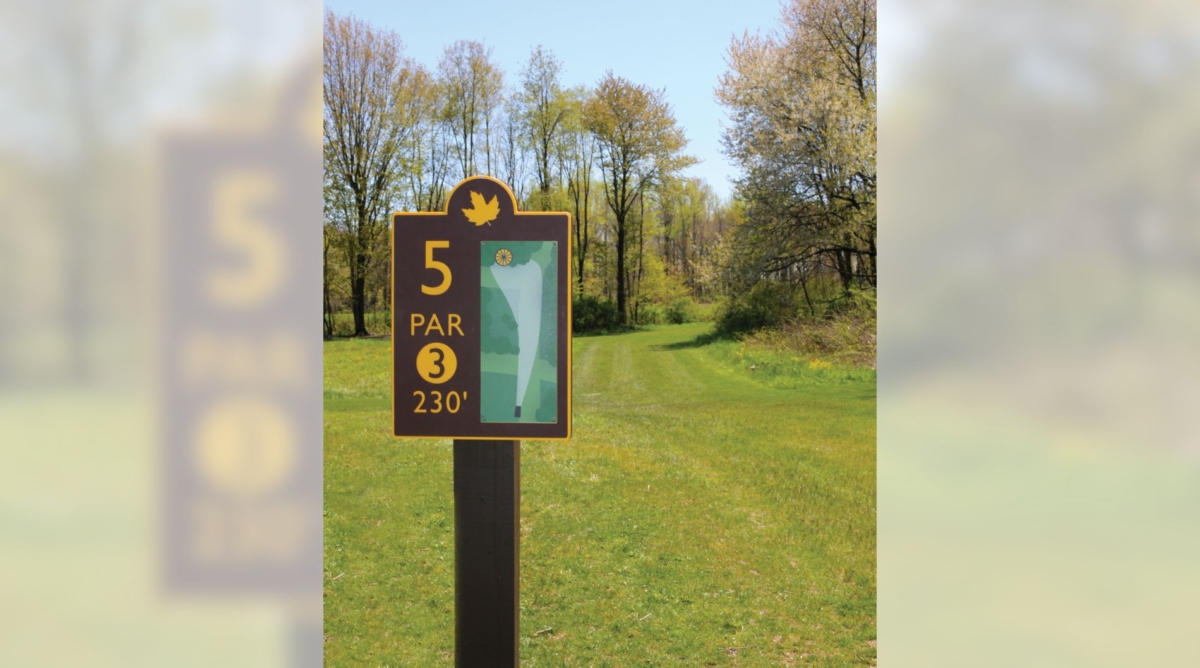 Basket 5 on the Disc Golf Course at Silver Creek Metro Park