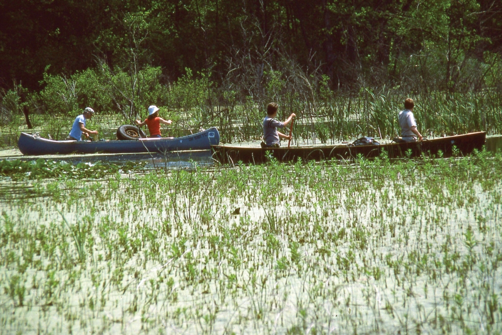 Elaine Marsh Participates In A Clean Up In June 1984 With The Sierra Club