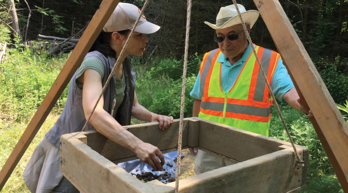 Excavation work being done by cultural resources staff