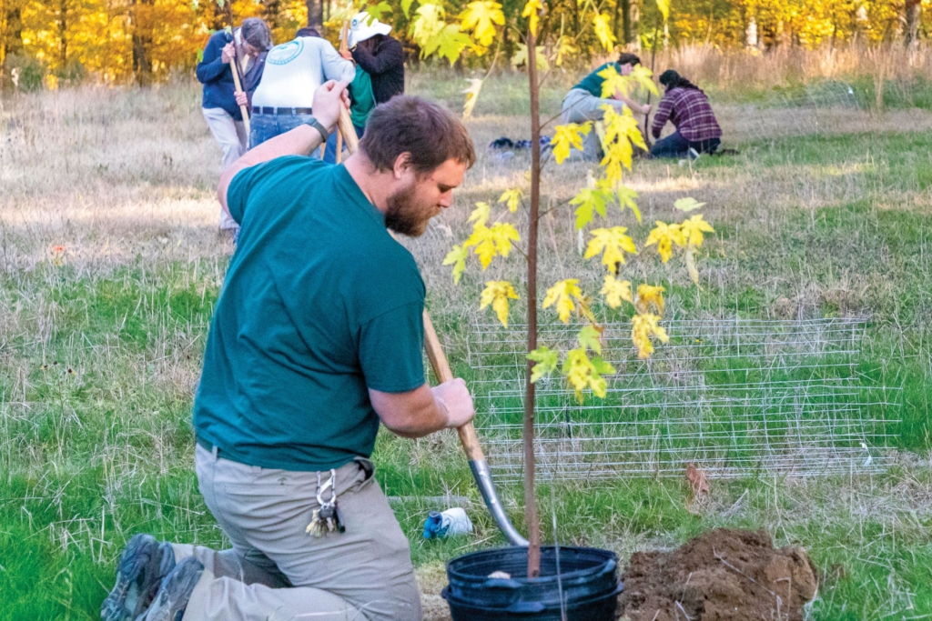 Man plants a tree in Furnace Run Metro Park. Photo by Terri Pouliot