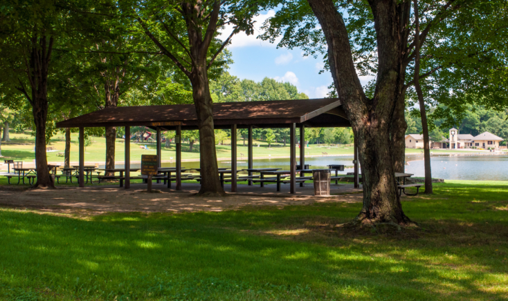 Maple Shelter