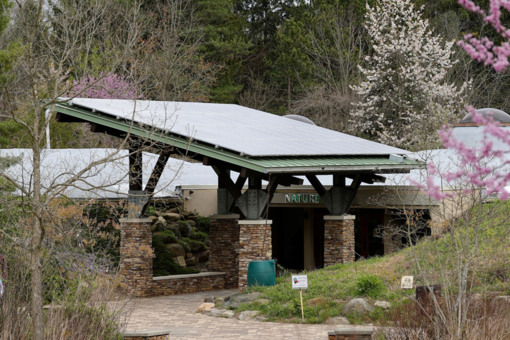 building surrounded by trees