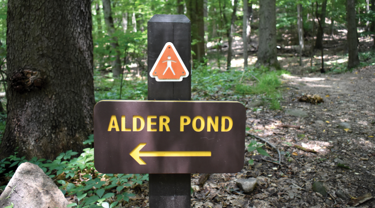 Parcours Trail marker and sign to Alder Pond