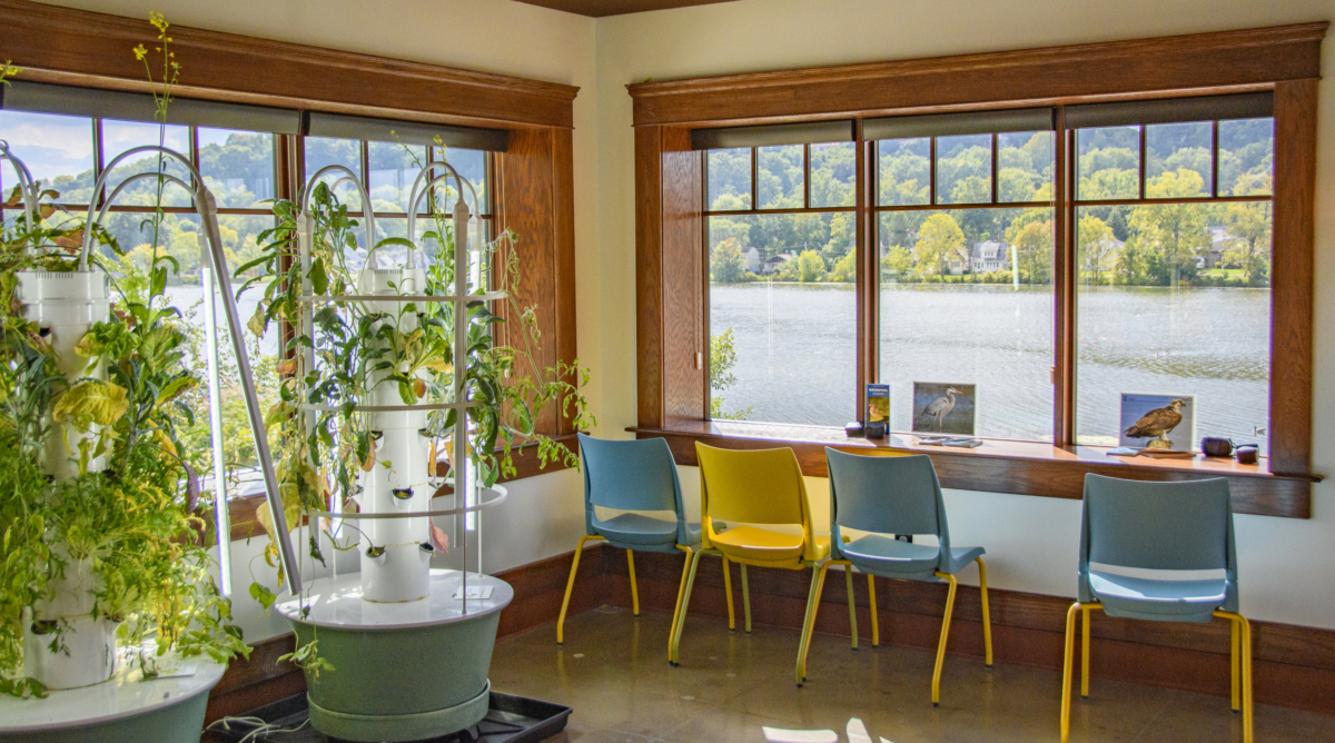 Tall hydroponic stations and colorful desk chairs line the window-covered walls.