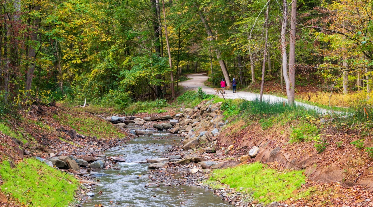 Stream running through the woods