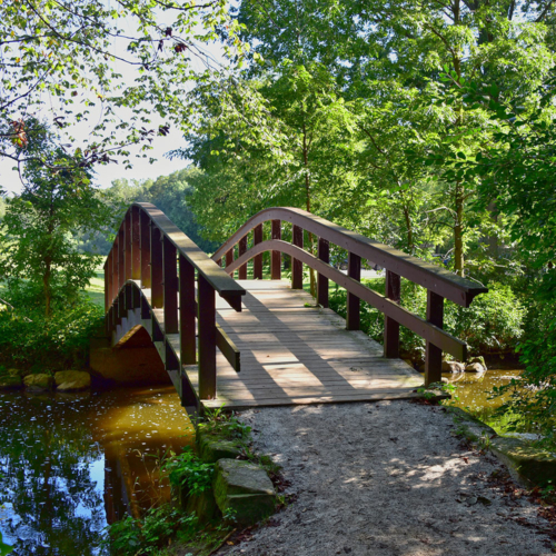 An arched, wooden trail bridge crossing a small river. Green trees hang around the bridge.