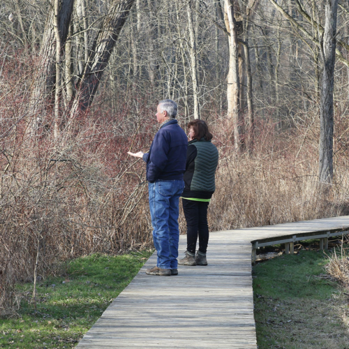 A man and woman stand on a boardwalk, hands outstretched and filled with birdseed.