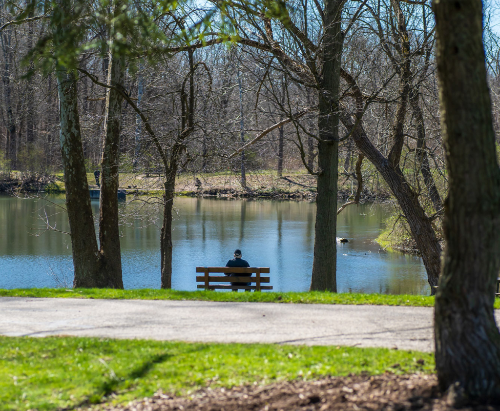 A visitor sits on a bench in the distance near the edge of a lake.