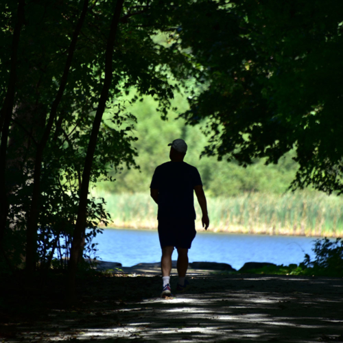 The silhouette of a man walking toward a sunny pond.