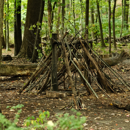 A small tent frame made out of tree branches sits in the woods.