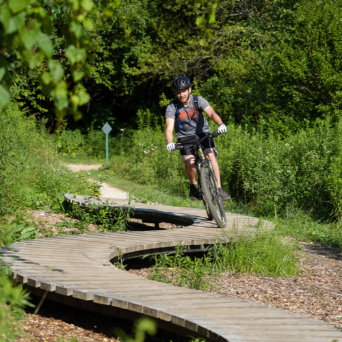 A man rides a bike across a curvy wooden trail boardwalk.