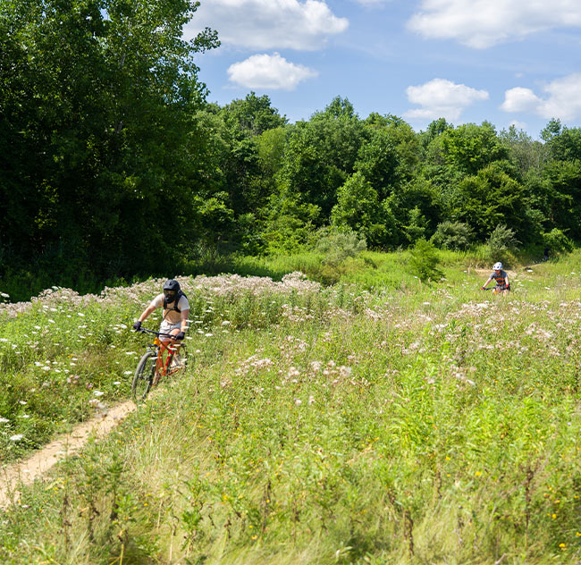 Two mountain bikers riding on a thin dirt path through tall grasses and wildflowers.