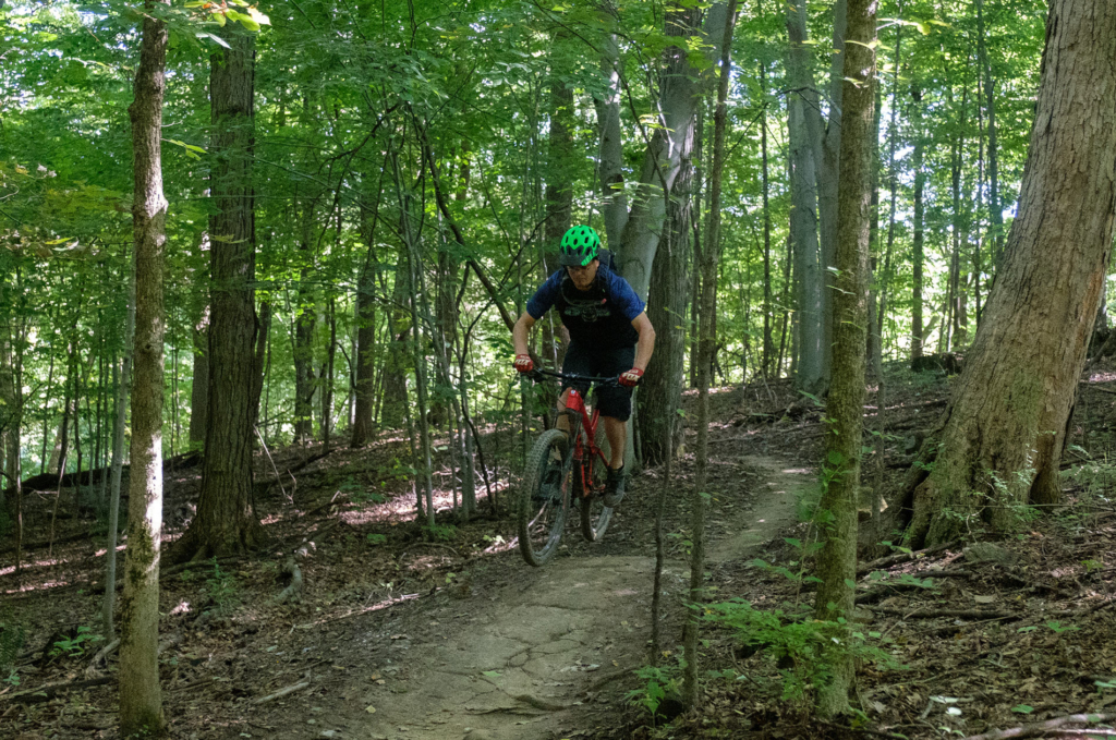 A man rides a mountain bike along a wooded trail.