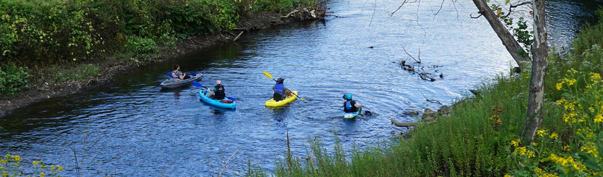 A group of kayakers on a river. 