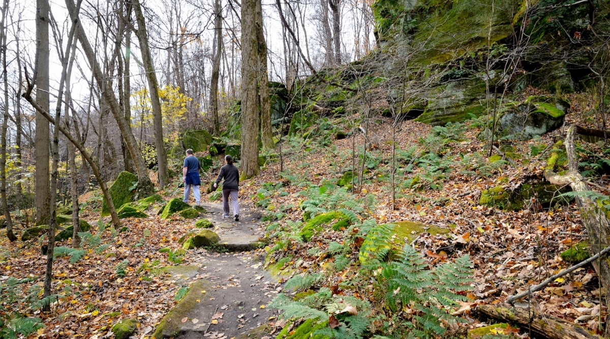 Hikers enjoying a fall stroll through Liberty Park