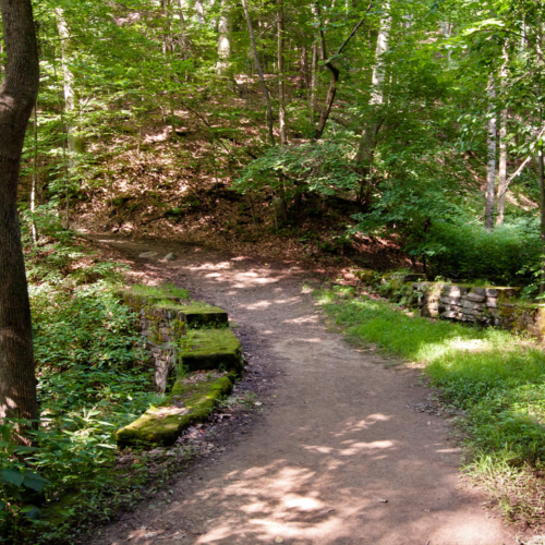 A dirt path, lined by stone.