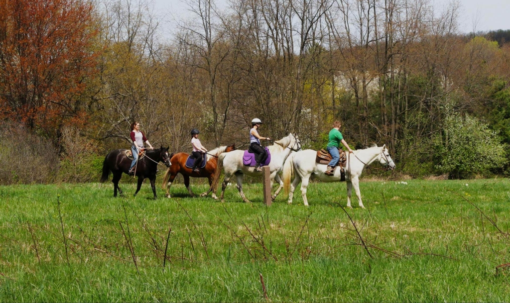 A group of people riding horseback