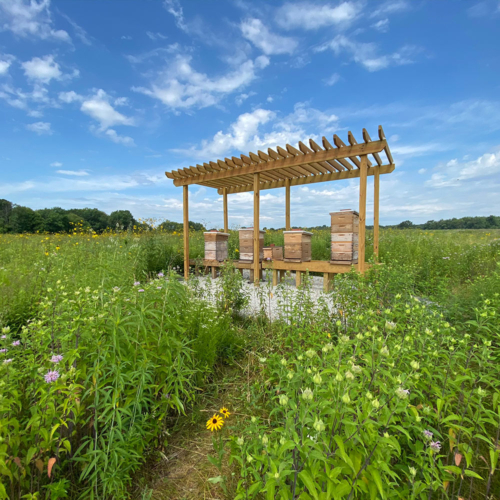 Beehives sit under a pergola in the middle of a prairie.