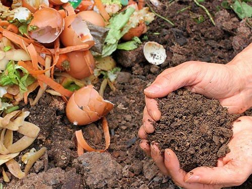 Hands holding dirt above a pile of compost.