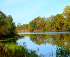 Tinker’s Creek Area of Liberty Park, 2012