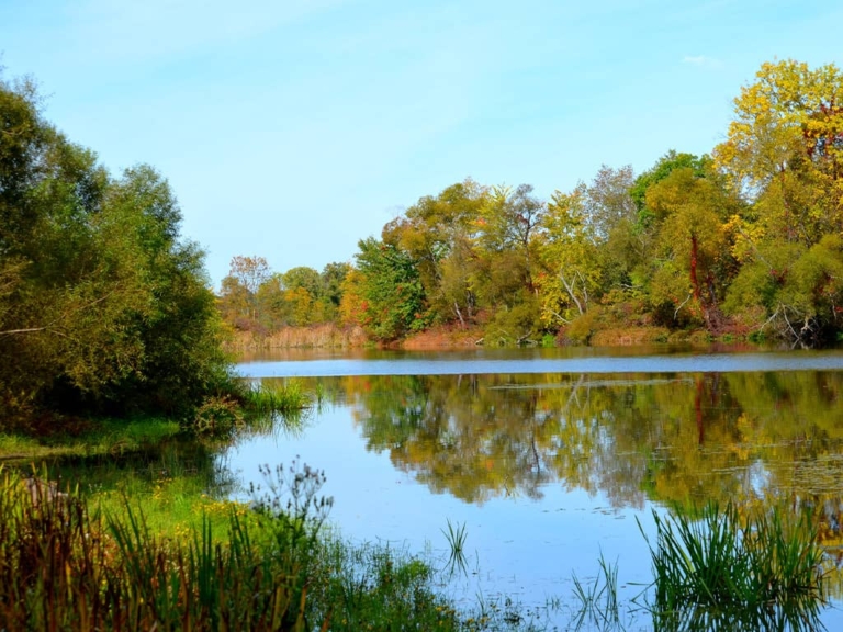 Tinker’s Creek Area of Liberty Park, 2012