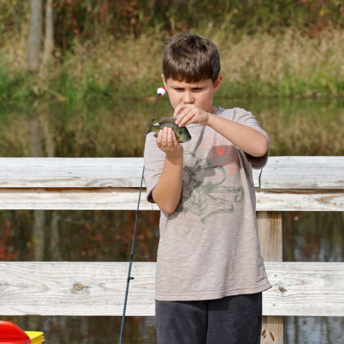 A boy holds a fish hanging from a fishing pole.